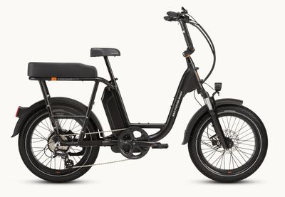 RadRunner™ Plus Electric Cargo Utility Bike