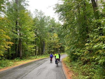 Comfort / Recreational Hybrids