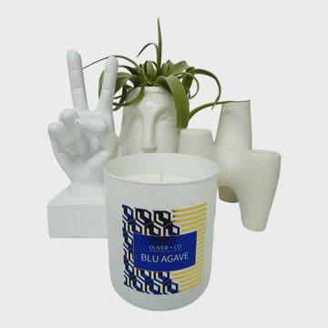 Blue Agave 12oz Candle