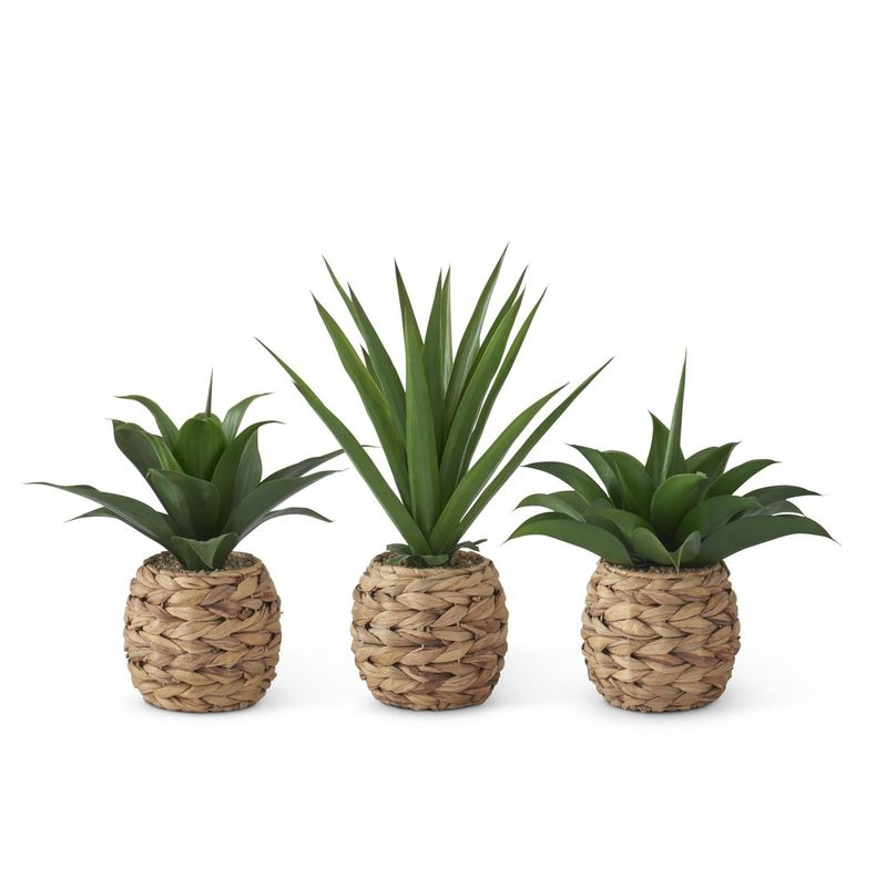 Tropical Succulent in WovenRround Pots w. Faux Rocks