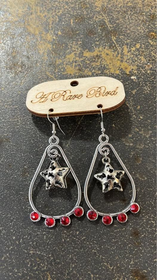 Teardrop w. Hanging Star &amp; Red Crystal Earrings