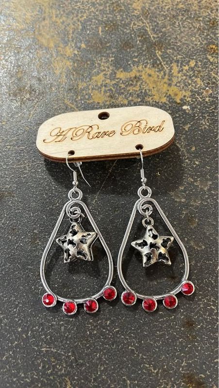 Teardrop w. Hanging Star &amp; Red Crystal Earrings