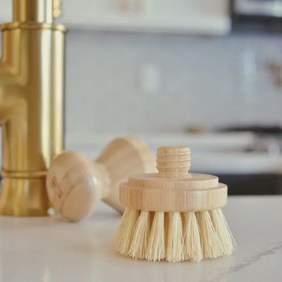 Modular Brush Refill Heads (Head Only)