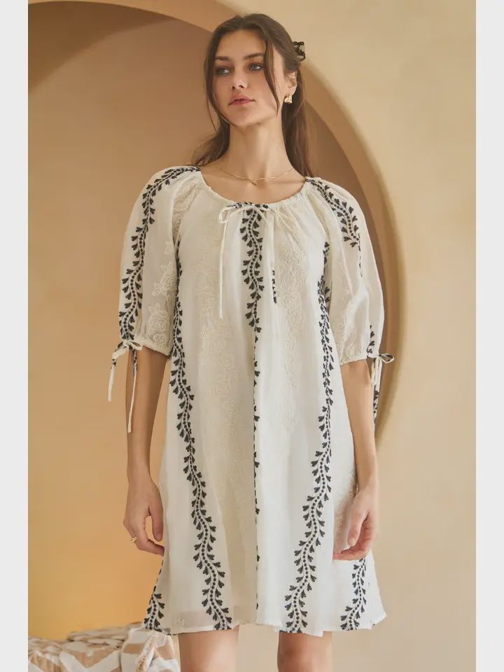 Embroidered Lace Flare Mini Dress, Size: Small