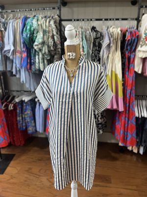 Blue &amp; White V-Neck Mini Dress