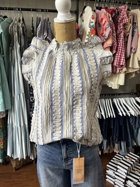 Blue Flutter Stripe Detail Blouse