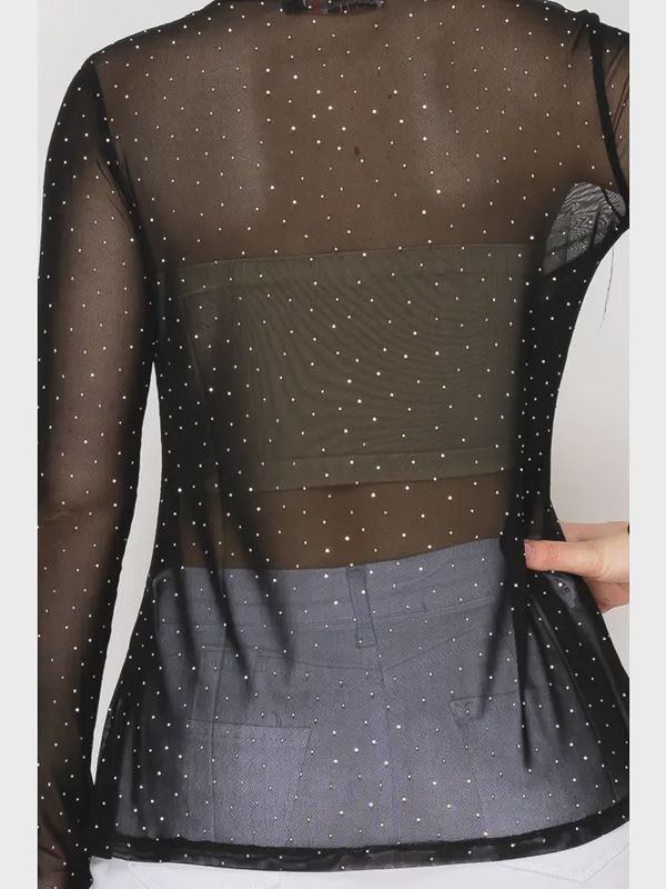Sparkle Long Sleeve Mesh Top