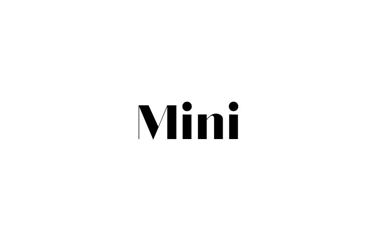 Mini