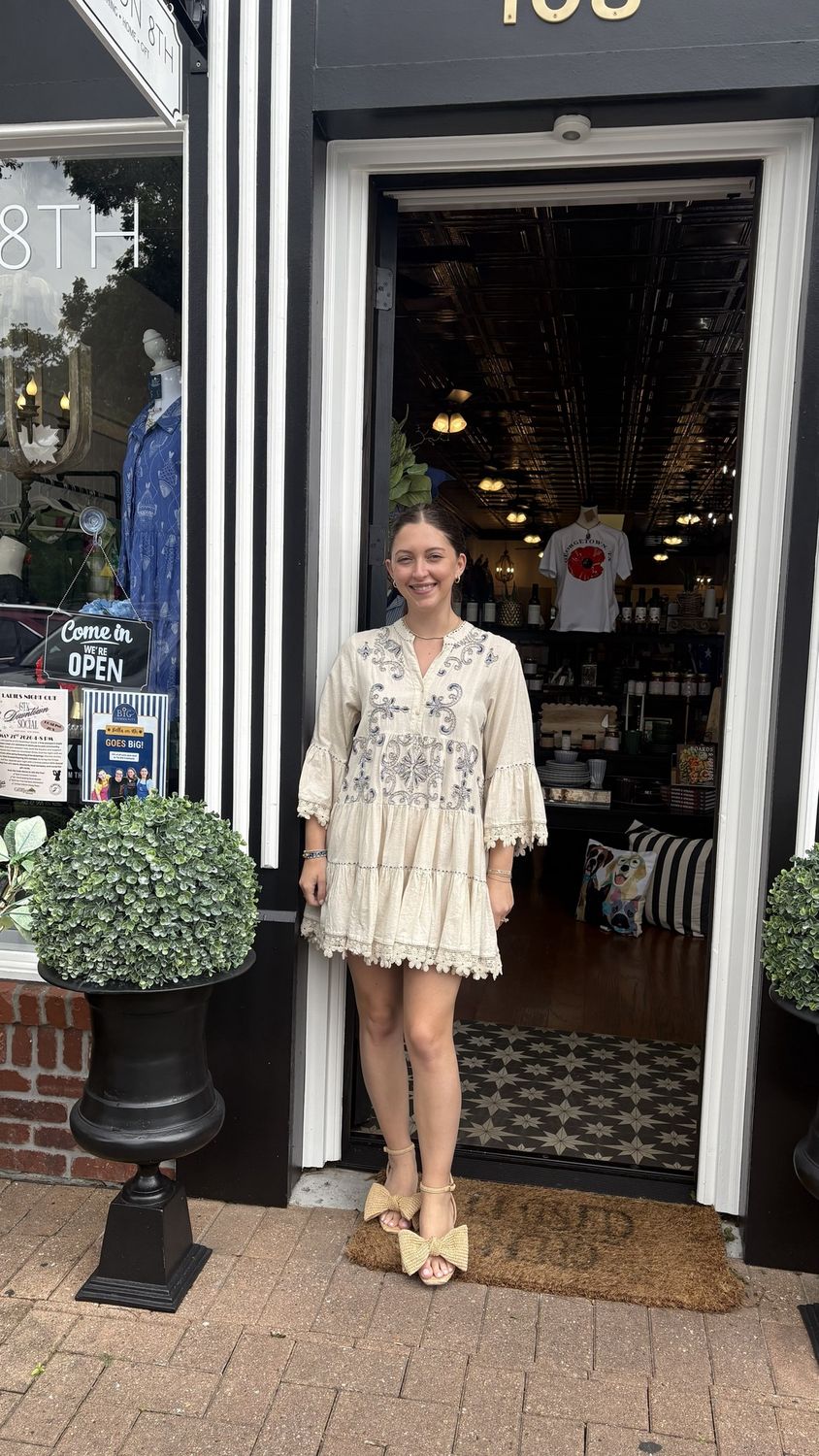 V-Neck Embroidered Ruffle Dress, Size: small