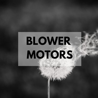 BLOWER MOTORS