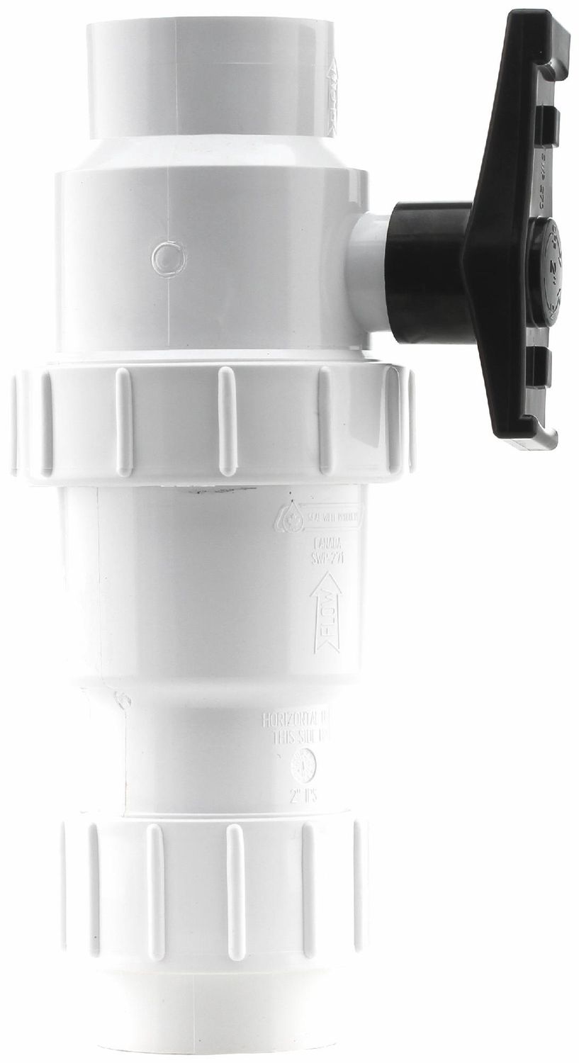 2" CHECKMATE VALVE S x UNION 2200-20