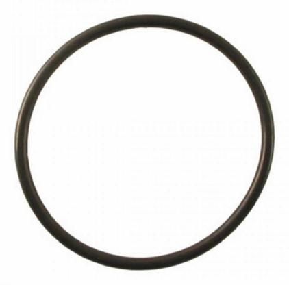 VIQUA ORING FOR AWP 40-BV HOUSING