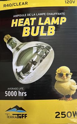 03TTHBC HEAT LAMP CLEAR 250W