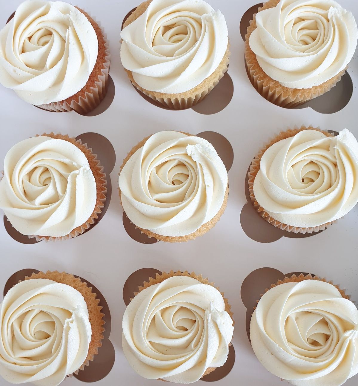 cupcakes/ buttecream (docena)