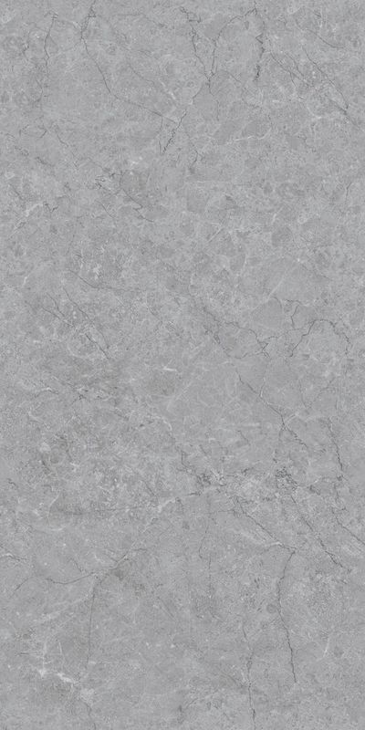 REFINE GREY - INFINIA POLISHED