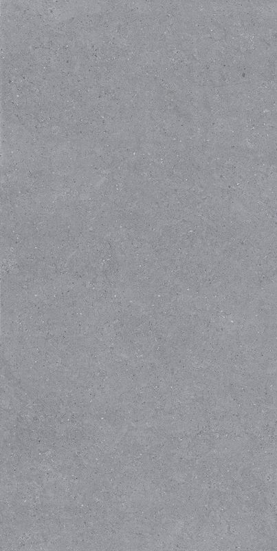EARDING ANTRACITE - GREEZO R11