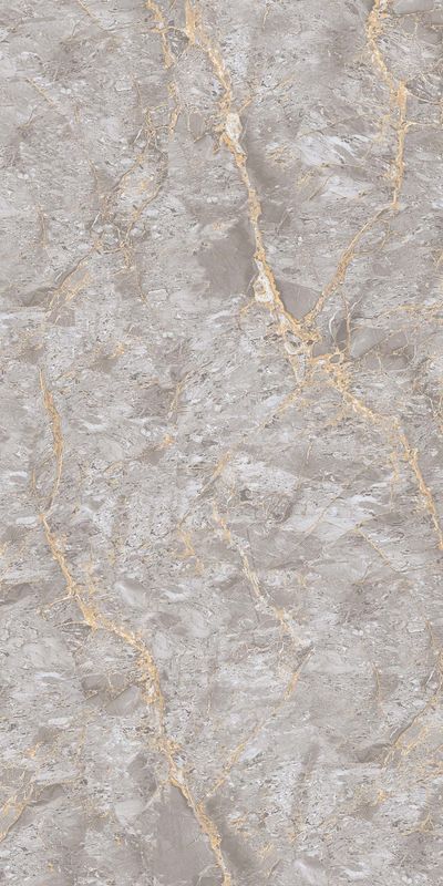 ANILINE GRIS - INFINIA POLISHED