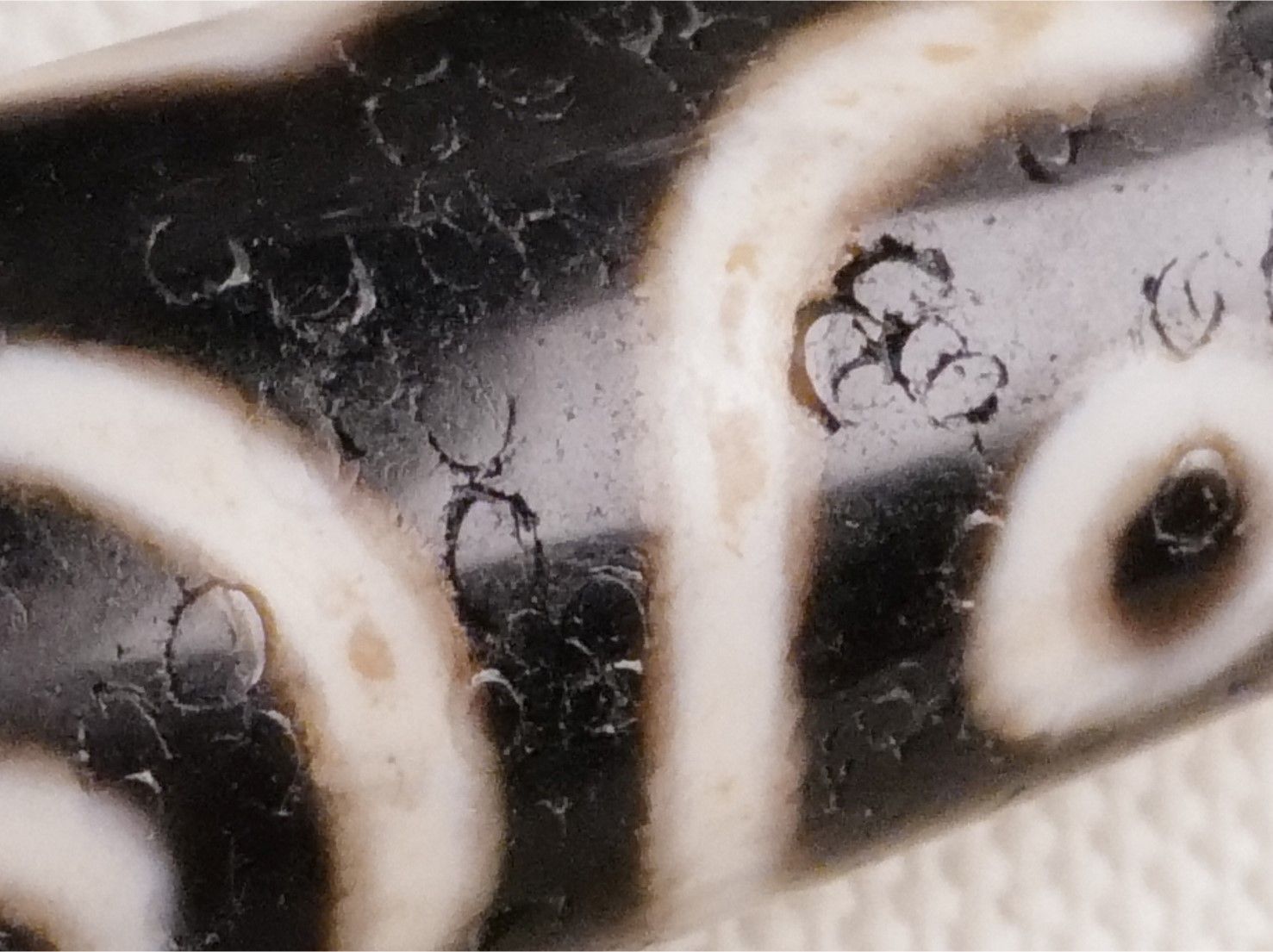 三眼三線貴人天珠/ 00502