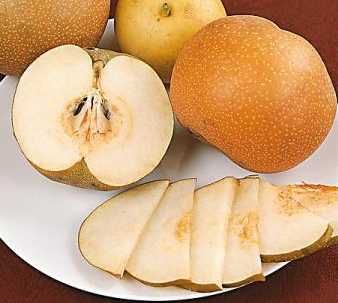 Chojuro (nashi peer)