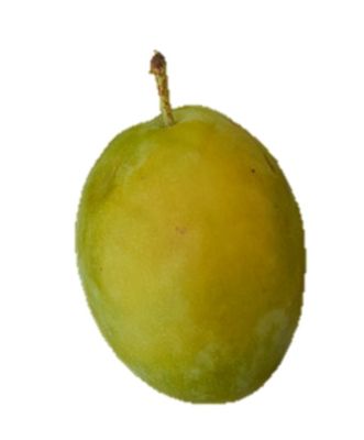 Belle de Thuin