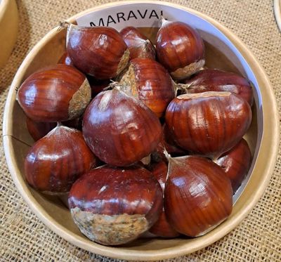 Maraval (sativa x crenata)