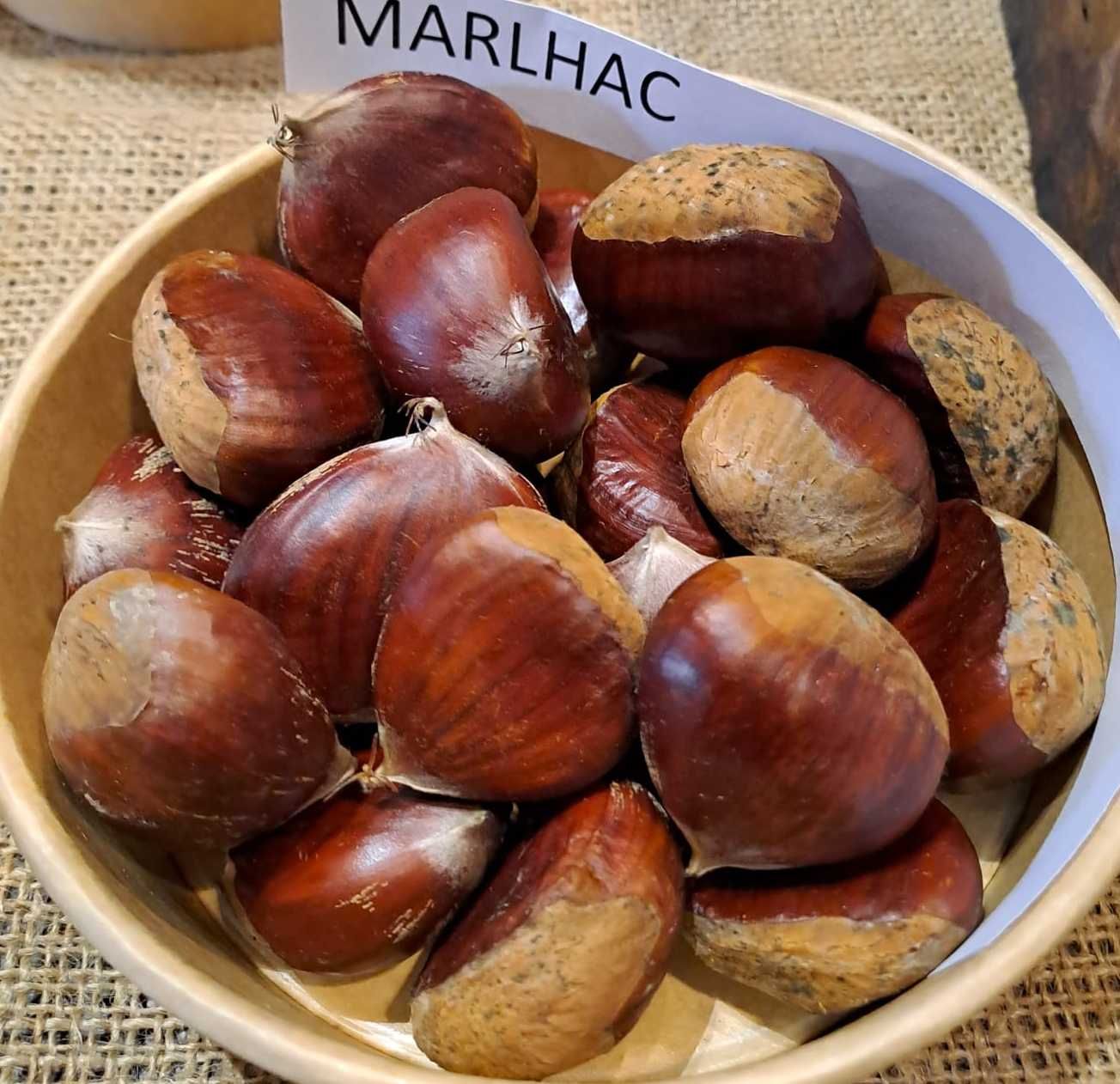 Marlhac (sativa x crenata)