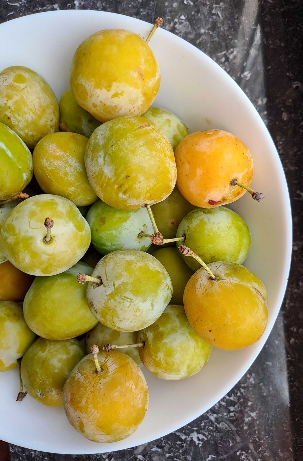 Reine Claude d'Oullins