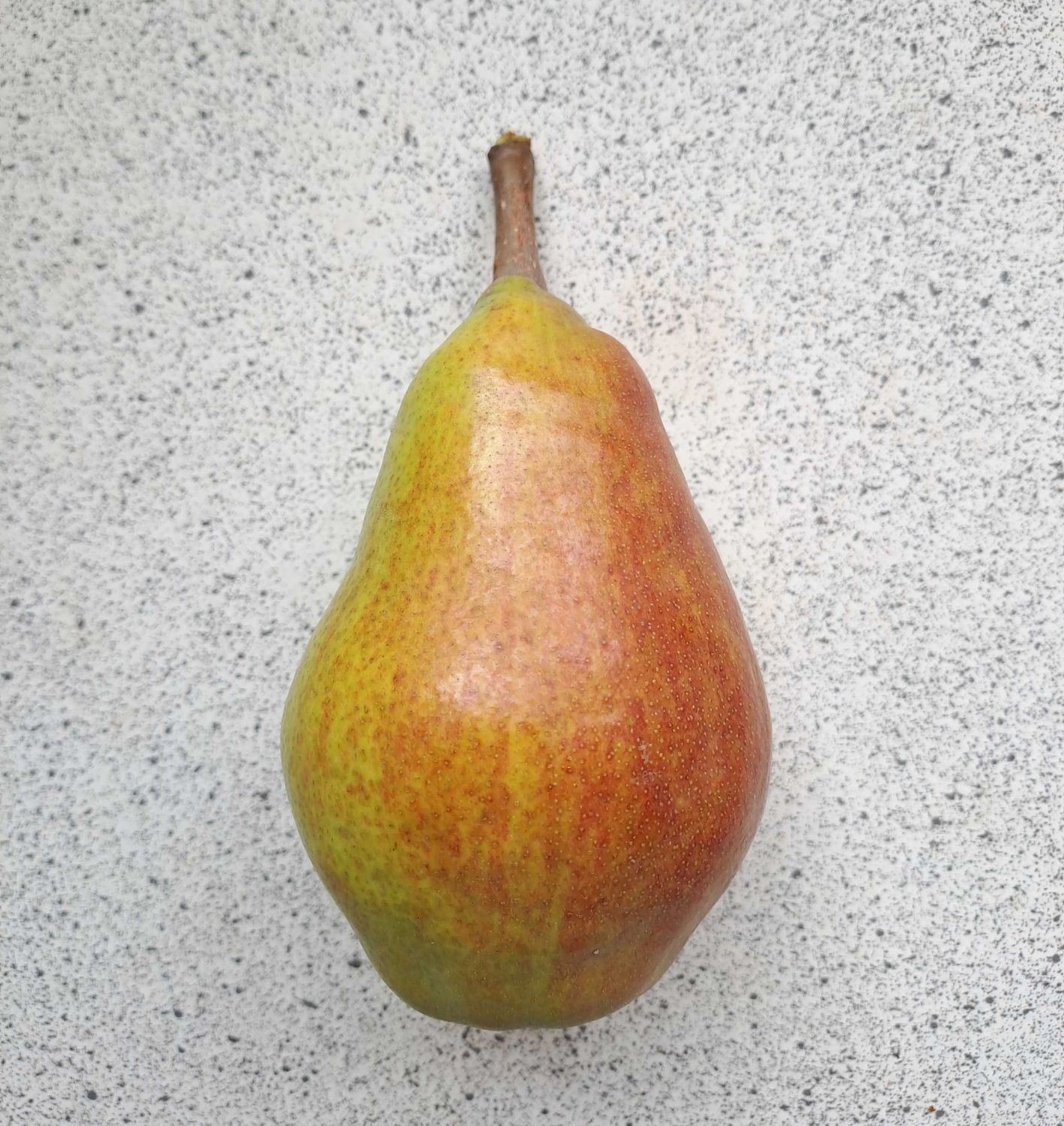 Clapp's favourite