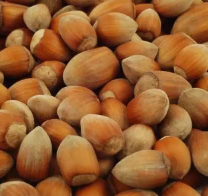 Webb's Price Cob