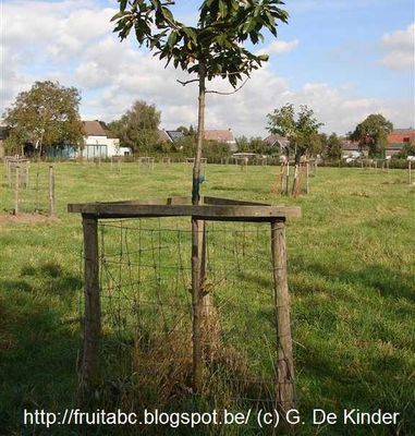 halfronde verbindingsbalk 2 m