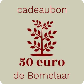 Cadeaubon 50 euro