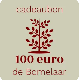 Cadeaubon 100 euro