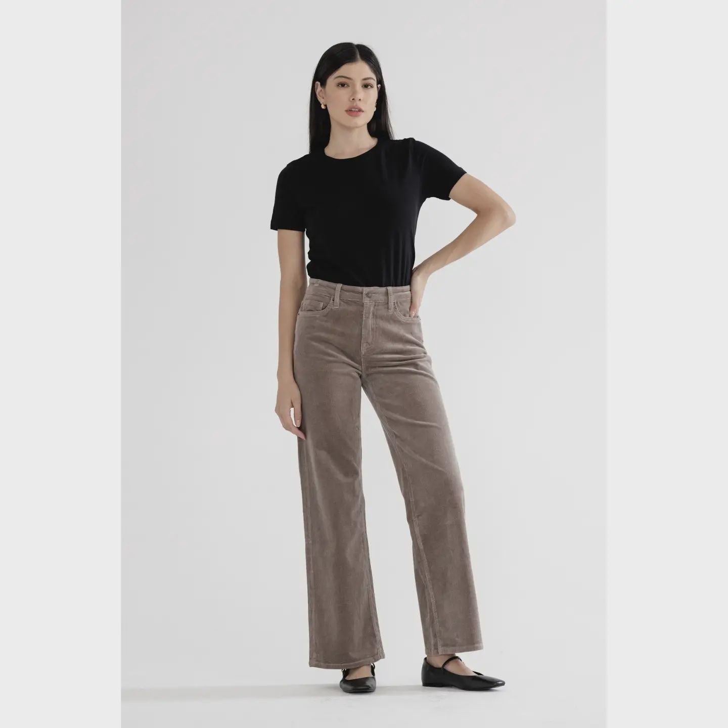 Mica Greige HR Wide Leg Jeans, Size: 24