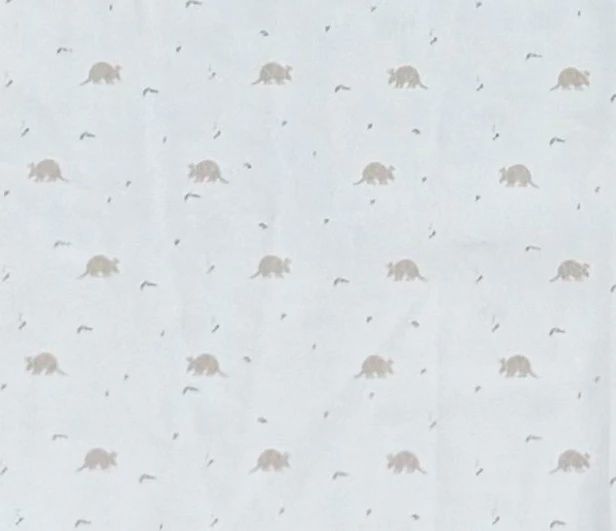 Men's Long Sleeve-Dillo Print