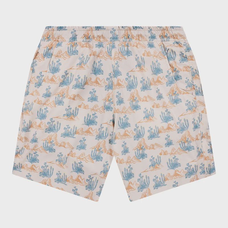 Waterloo Swim Shorts-Softbrush
