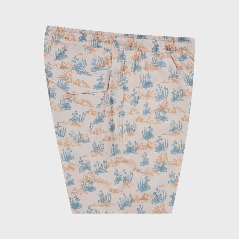 Waterloo Swim Shorts-Softbrush