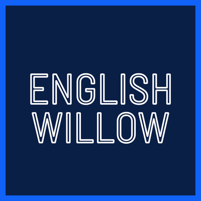 English Willow