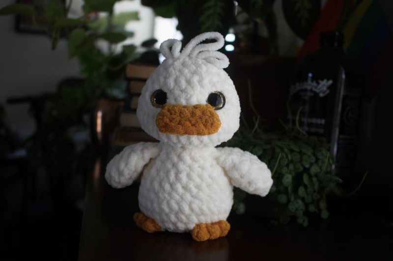 Ducky