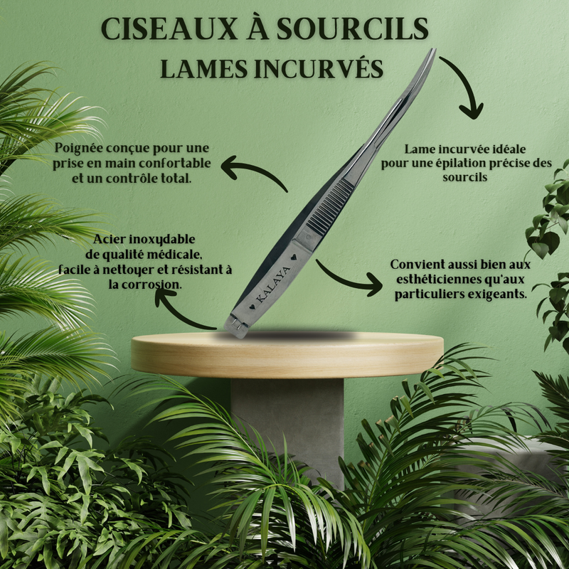 Ciseaux incurvés professionnels en inox pour épilation et structuration des sourcils