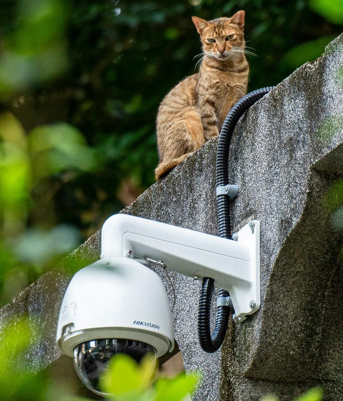 CCTV