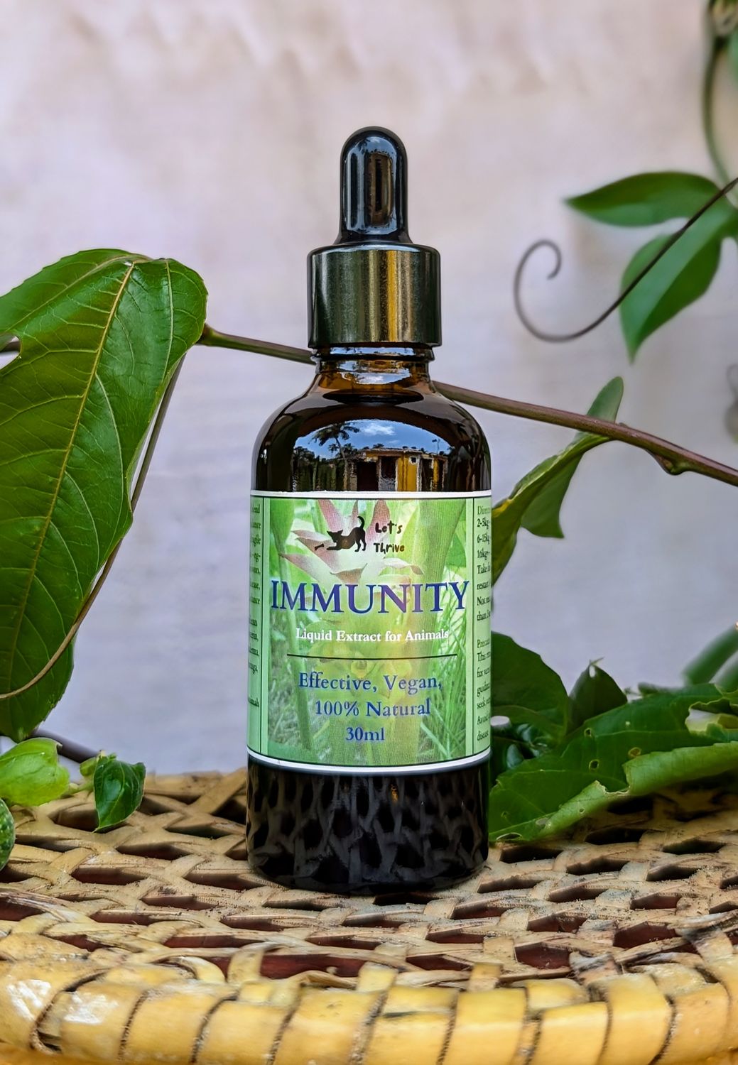 Immunity Tincture