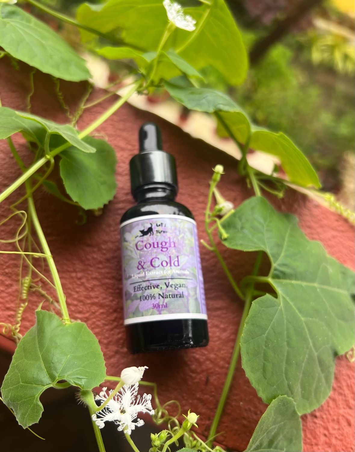 Cough &amp; Cold Tincture