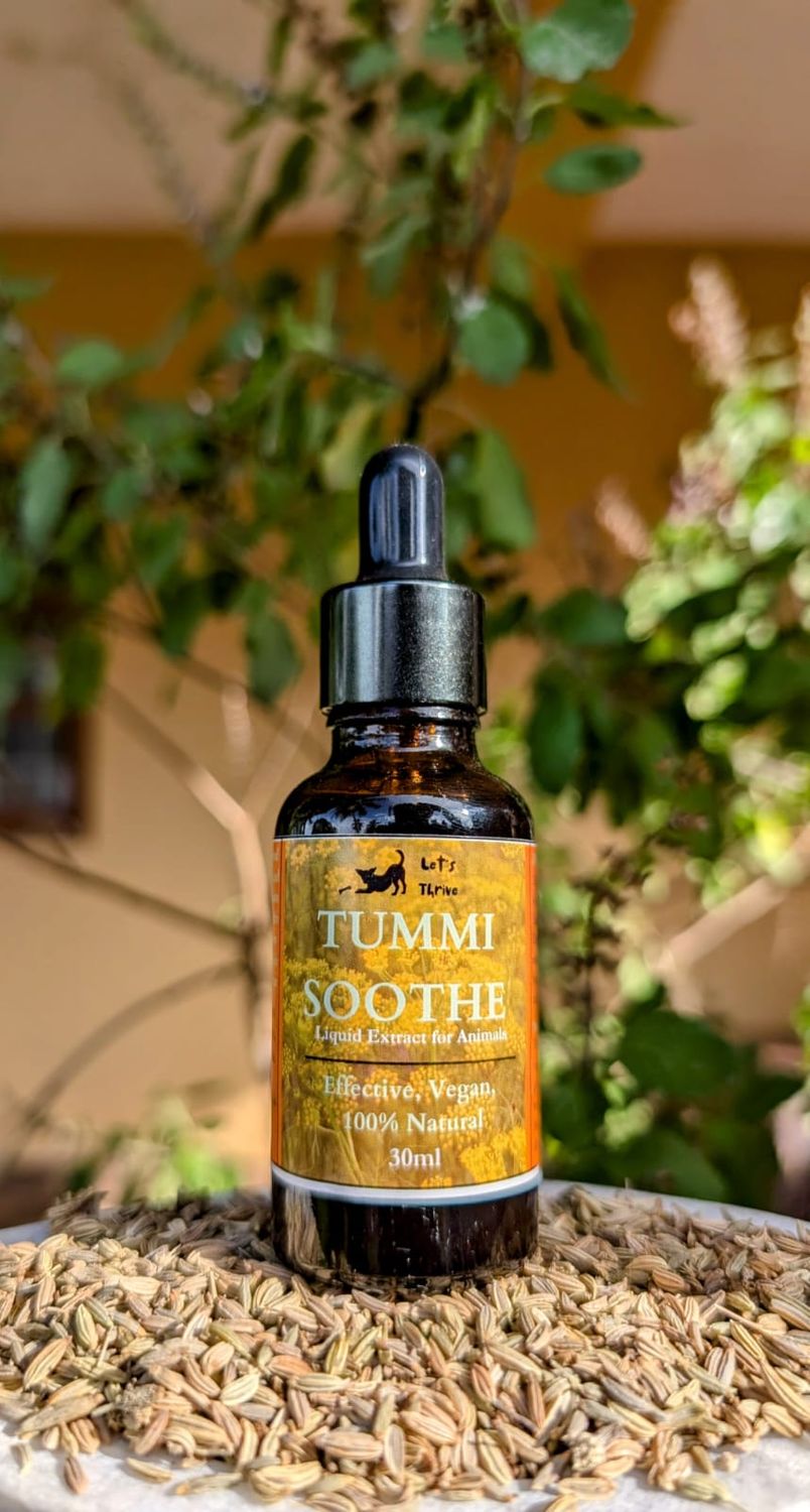 Tummisoothe Tincture