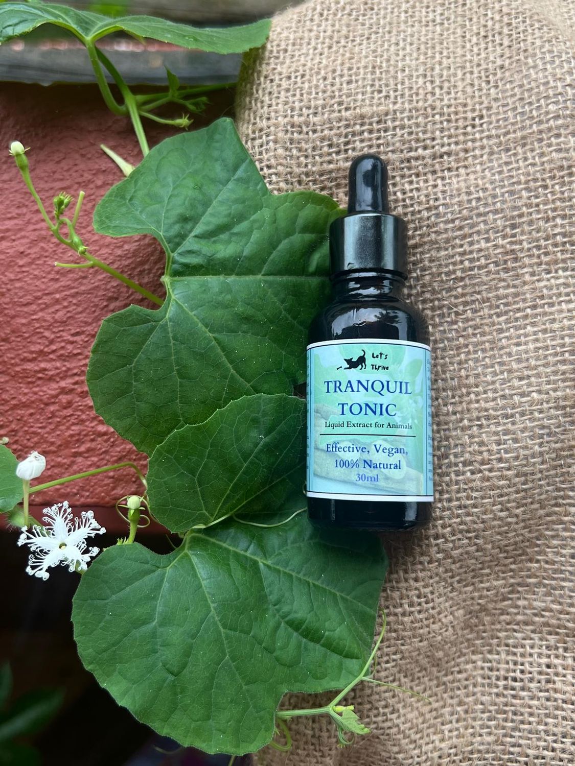 Tranquil Tonic - Calming Supplement for Dogs &amp; Cats