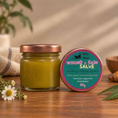 Wound &amp; Skin Salve - Healing Ointment