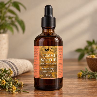 Tummisoothe Tincture - Digestive Drops