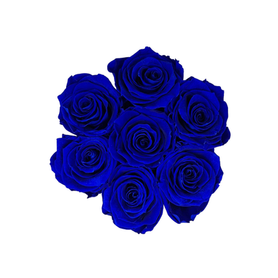 Flower Box prawdziwe wieczne róże DARK BLUE 7 sztuk