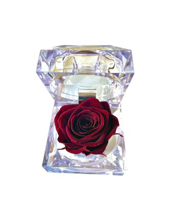 ​Wieczna róża w eleganckiej szkatułce  Burgundy
