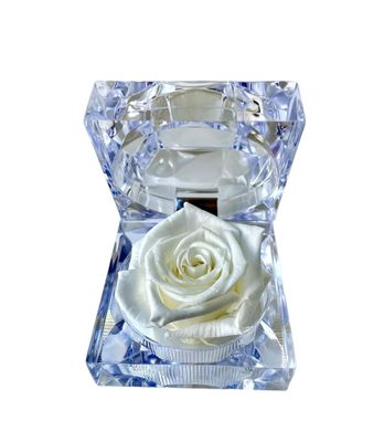 ​Wieczna róża w eleganckiej szkatułce  White