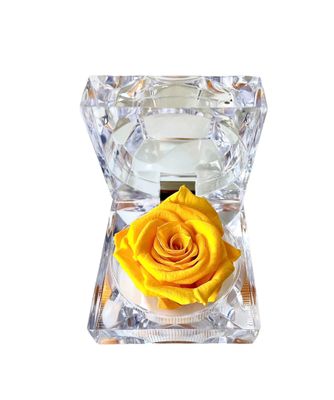 ​Wieczna róża w eleganckiej szkatułce  Yellow